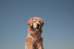 みゅうちゃんとブルースカイ