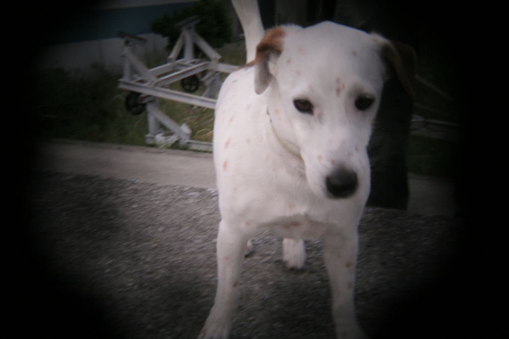 ホルガトイレンズにて