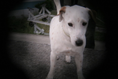 ホルガトイレンズにて