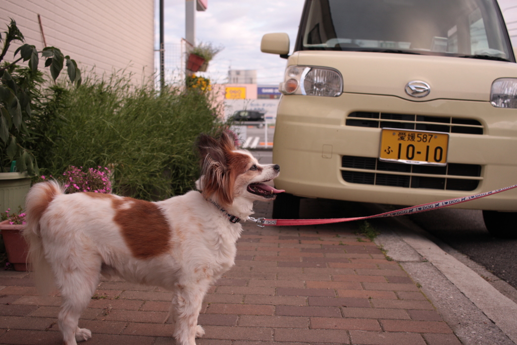 なんか言いたげな与太郎君