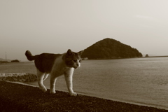 ＠2021‐06‐09