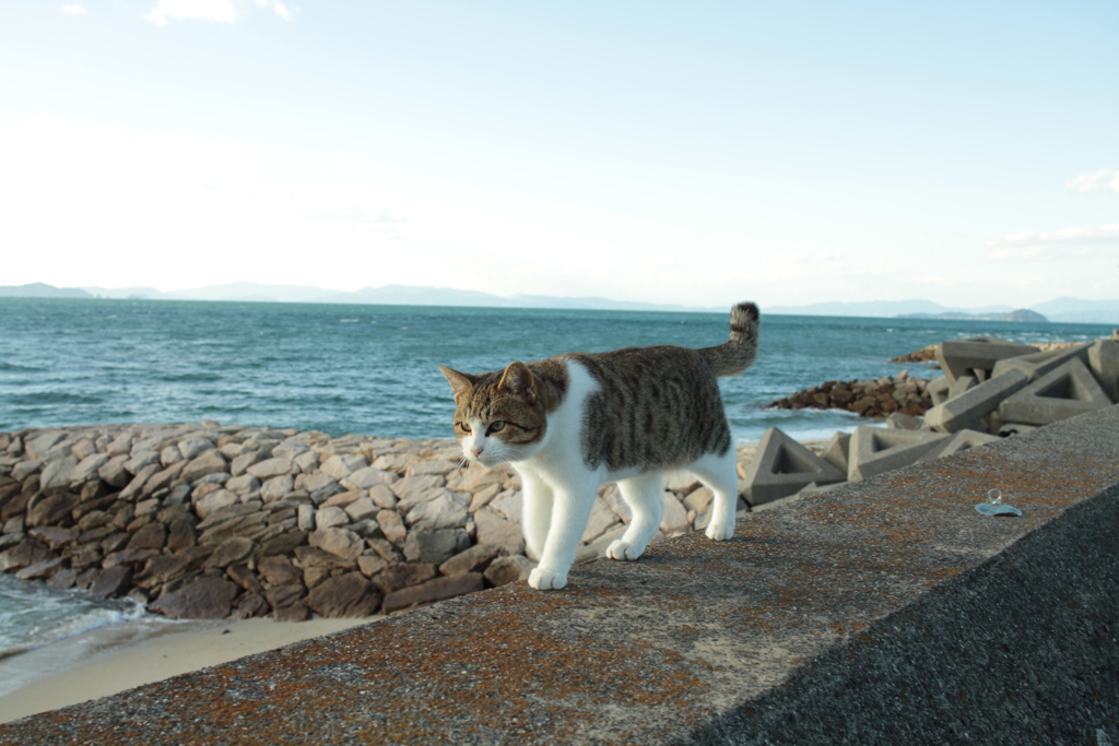 @2017-11-23 勤労感謝の日