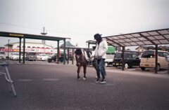 ポニーのレレレちゃん　フィルムにて