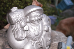 みゅうちゃん所の大福様