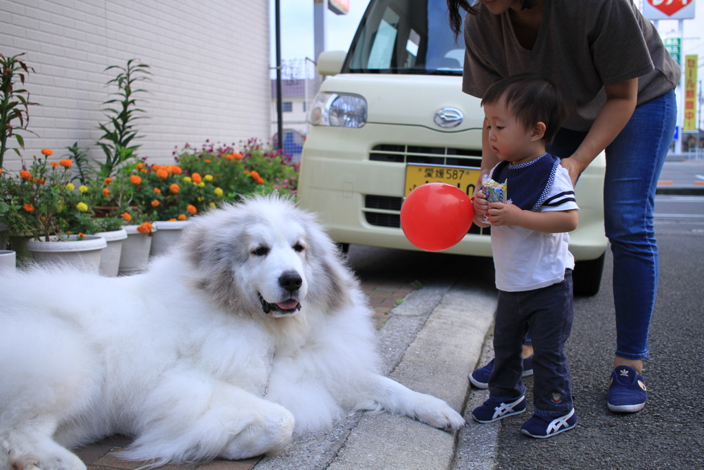 おっきくてこわ～い