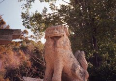 成人の日の朝　Trip35にて