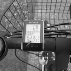 ナウなヤングの必需品