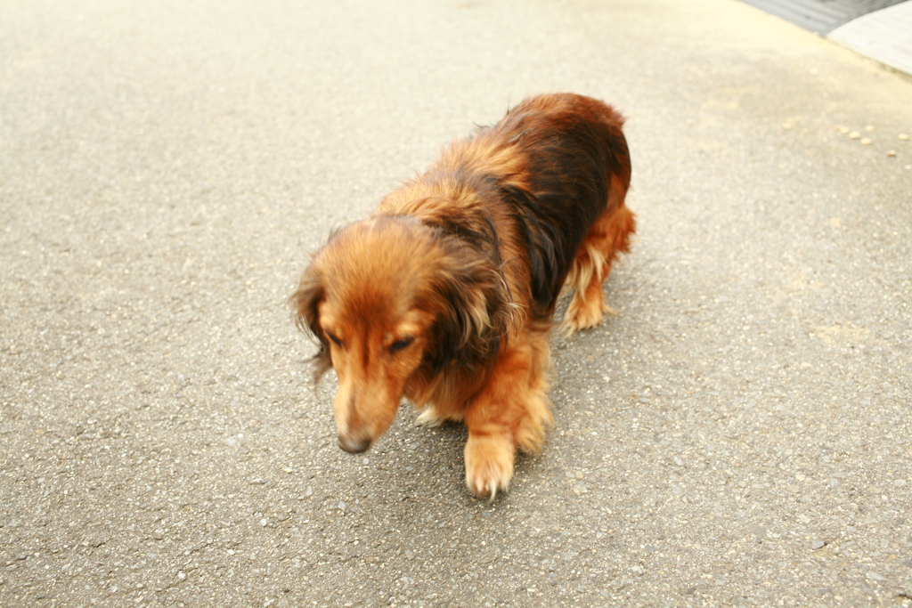 9月になったのにいいことなんてありゃしないさ