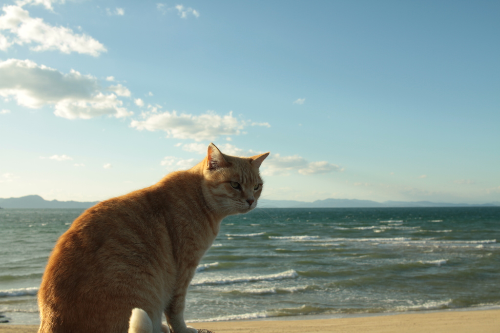 @2017-11-23 勤労感謝の日