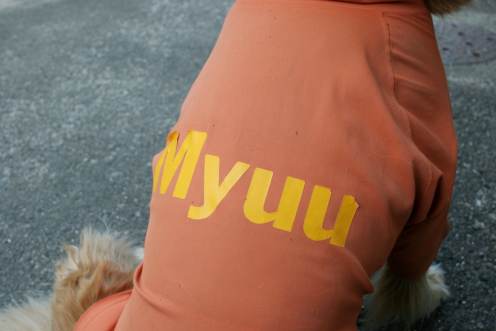 みゅうちゃんのユニフォーム