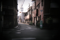 shot by Holga lens