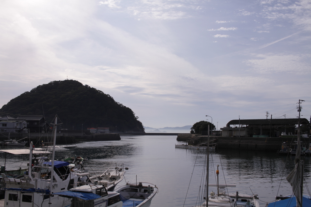 春日和＠2019-03-20