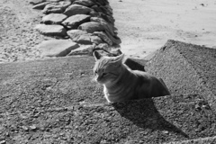 レンズの違いもあるんだろうけど、フルサイズって写りますな　!(^^)!