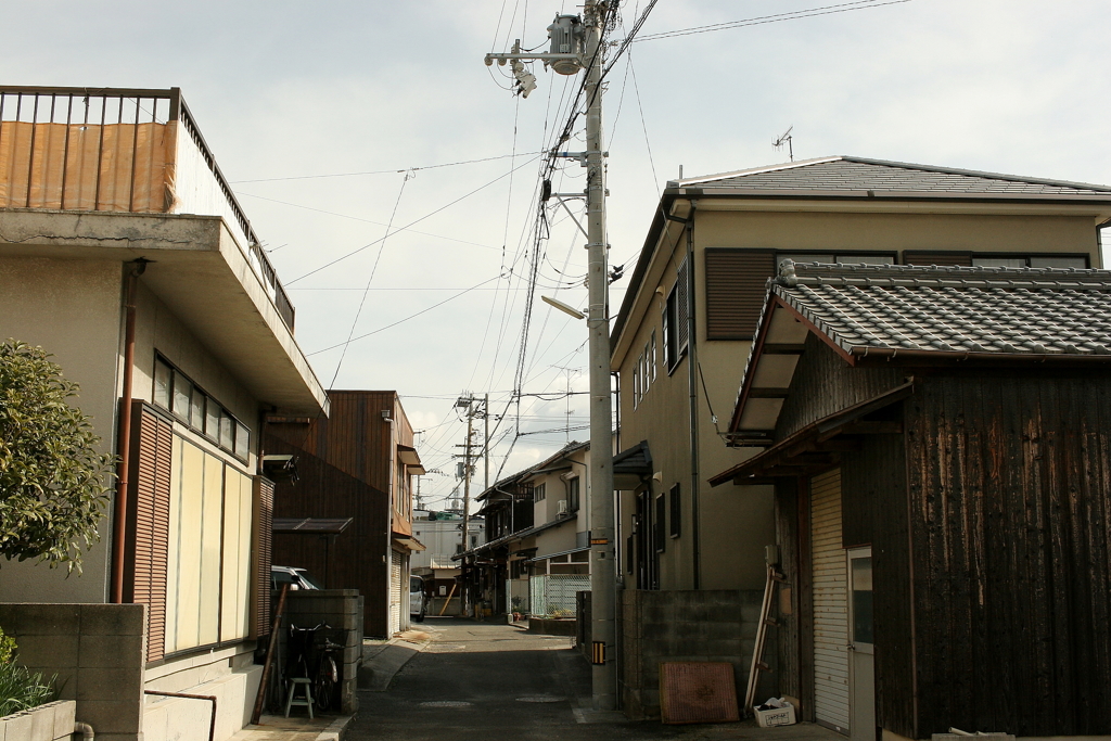 Eos20Dを持ち出す　１