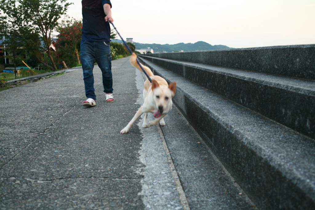 甘えん坊のモナカ