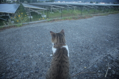 トム君は今日も元気