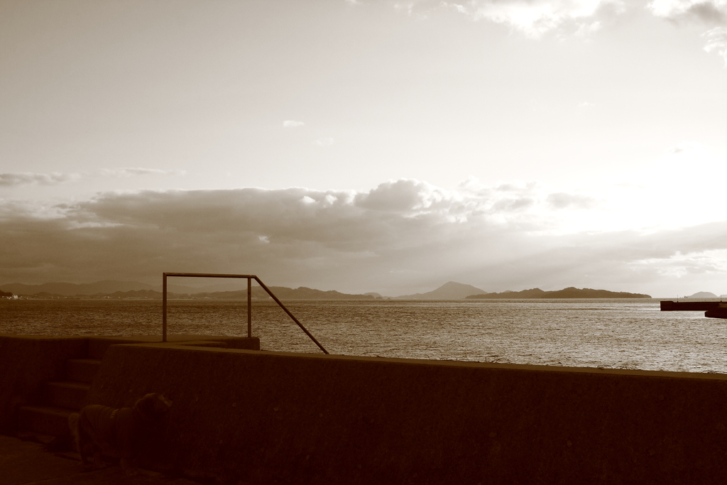 昨日の写真　RAW現像でセピア