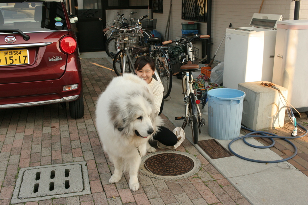 帰ってきたお姉さんにお尻を押し当てるココさん