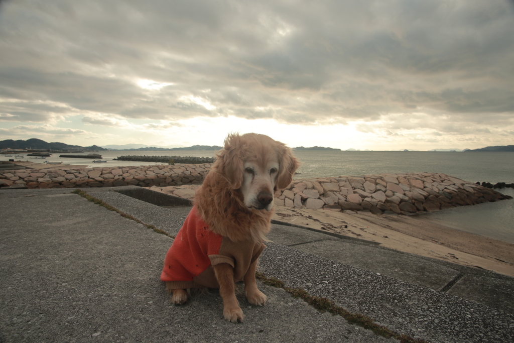 みゅうちゃん＠北条水軍ユースホステル