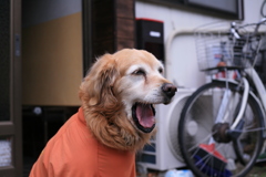 ＠2019-02-06