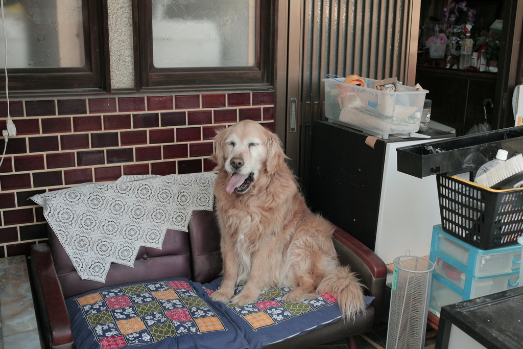 みゅうちゃんと密です密です