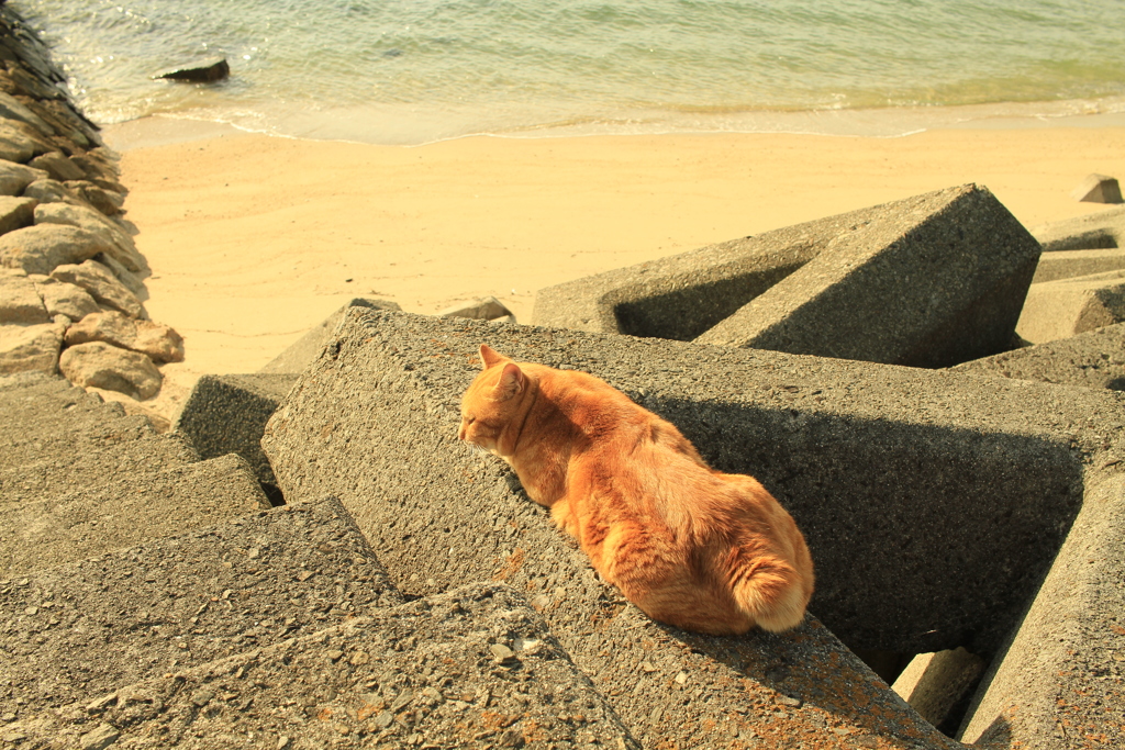 のんびりした日曜午後