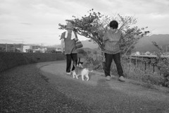 おばちゃんとトム君