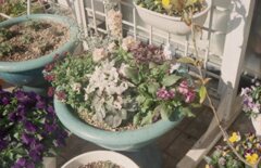 昭和のテイストでいい感じ