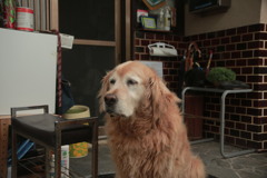 朝＠2020‐07‐16　古いEFズームにて