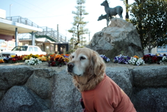 みゅうちゃん＠伊予北条駅