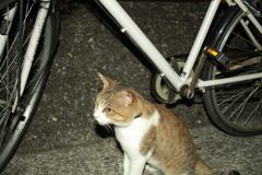 ＠2021‐09‐11