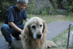 毛を解いてもらうみゅうちゃん