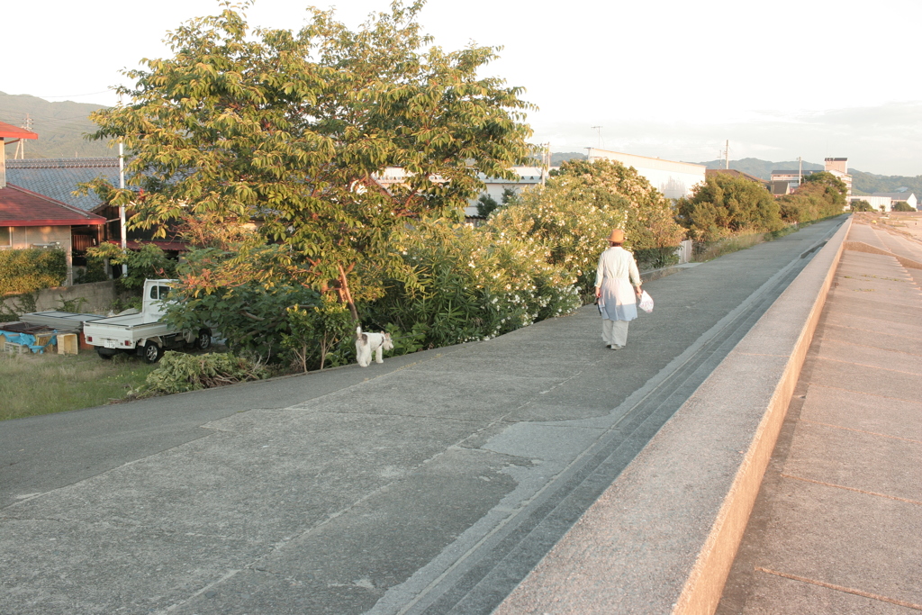 お母さんと散歩してるアビィちゃん