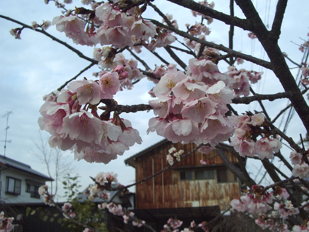 ＠2020‐03‐04