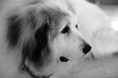 モノクロ＠2019-01-22