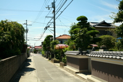 夏の日差しだとよく写るな