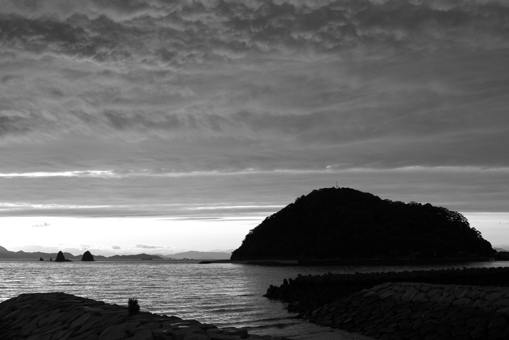 ここ一週間のモノクロ