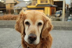 いつも通り＠2018-01-01