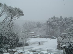 学生時代の写真発掘　2003年