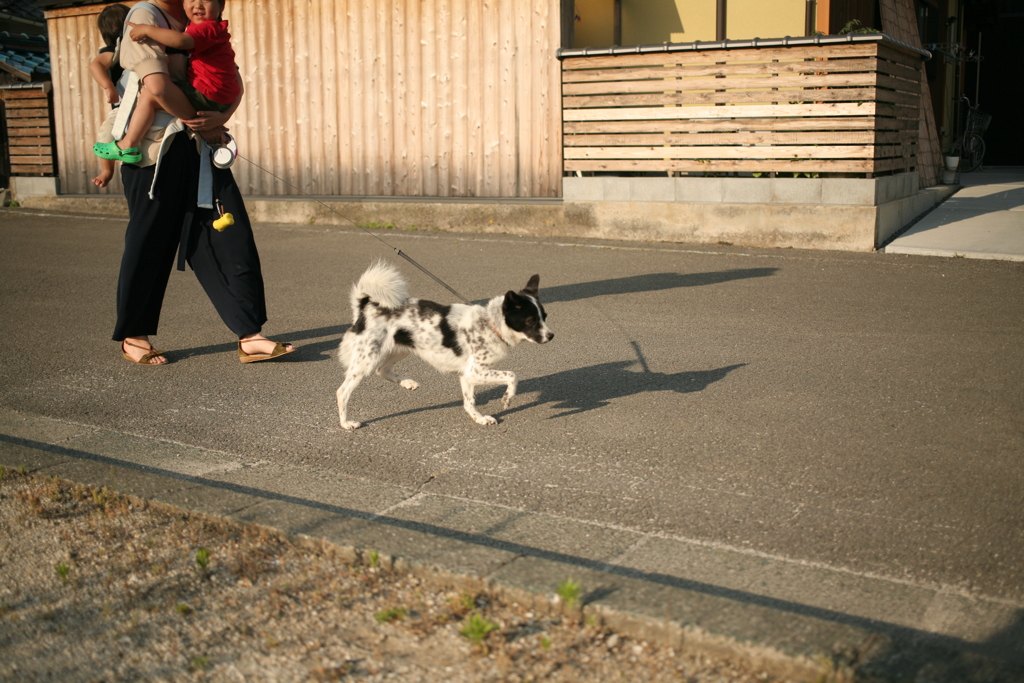 散歩楽しいワン