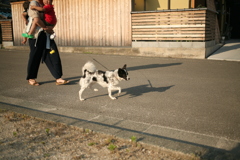 散歩楽しいワン