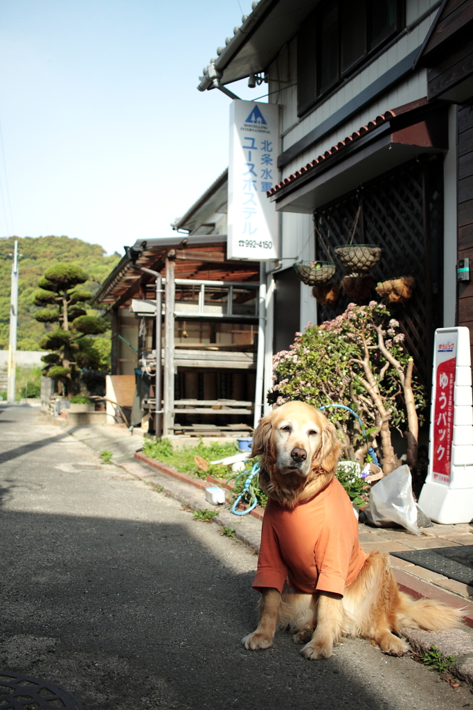 看板を守るということ
