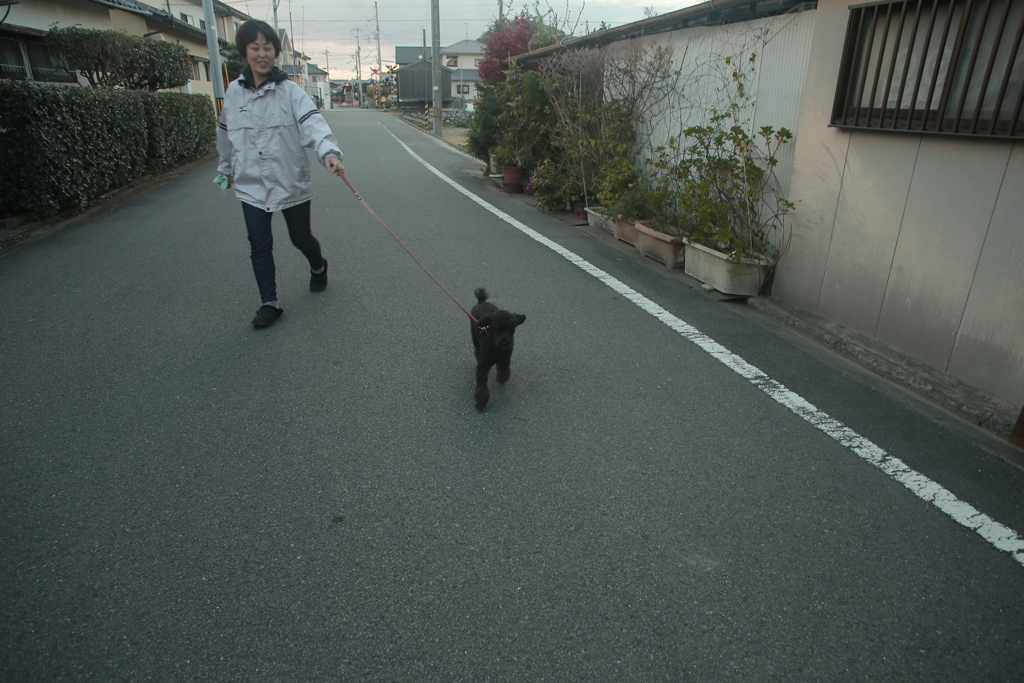 お母さんと散歩してるメロンちゃん