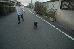 お母さんと散歩してるメロンちゃん