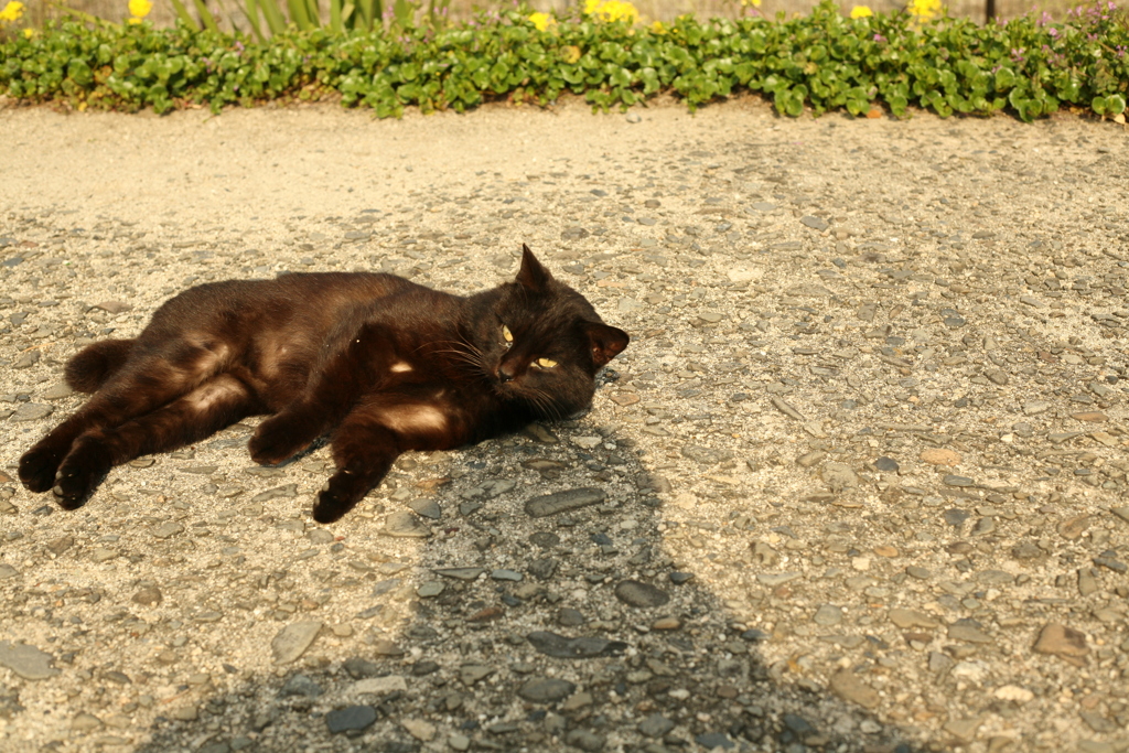 春日和＠2019-03-28