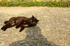 春日和＠2019-03-28