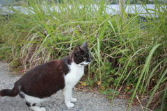 鼻くそついてる