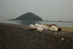 サラリーマンならクビだな