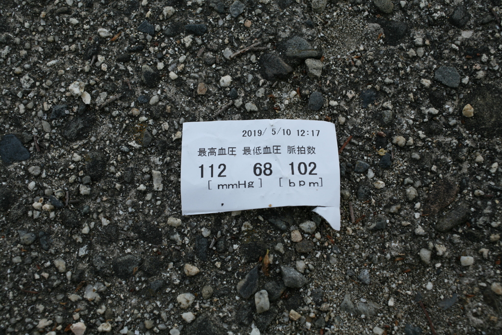 メタボだけど至適血圧なのです