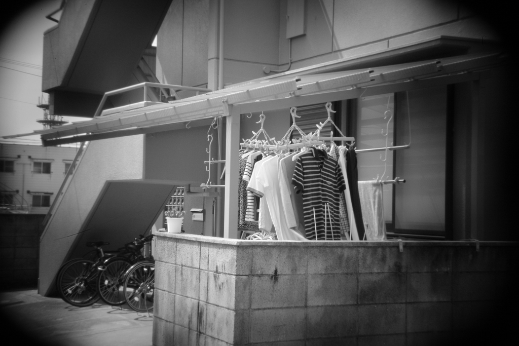 shot by Holga toy lens